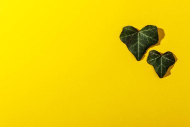 Sarı arka planda kalp şeklinde bırakır. Mutlu Kadınlar, Anneler Günü, Sevgililer Günü için aşkın sembolü. Doğal yeşil yapraklar. Düz yatıyordu.