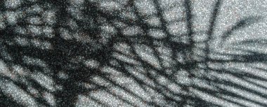 Arka planda palmiye yapraklarının gölgesi. Bitkilerin gölgeleri ve siluetleri.