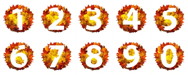 Números Folhas Outono Isoladas Fundo Branco Conjunto Números Feitos Folhas — Fotografia de Stock