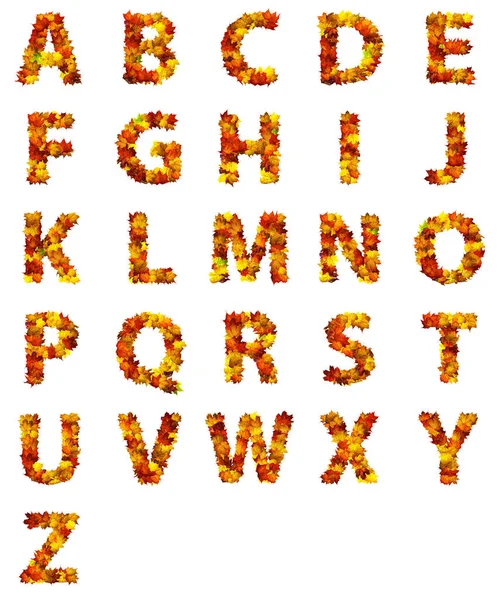 Buchstaben Von Herbstblättern Isoliert Auf Weißem Hintergrund Buchstabensatz Aus Herbstblättern Stockbild