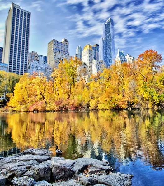 New Yorks Central Park — Stockfoto