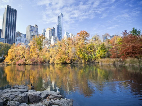 New York's Central Park — Stockfoto