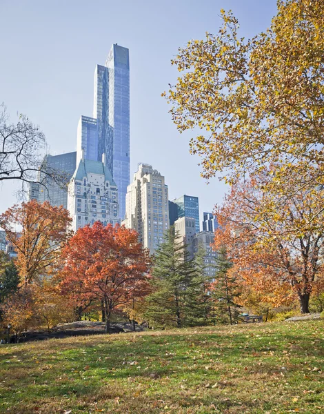 Central Park de Nueva York — Foto de Stock