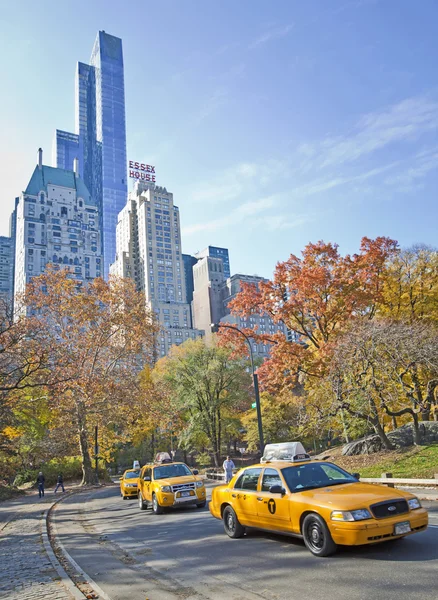 Gelbe Taxis fahren durch den Central Park — Stockfoto