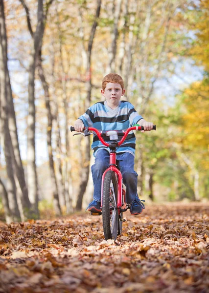 Menino na bicicleta ao ar livre — Fotografia de Stock