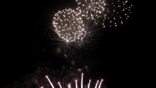 Красивий барвистий феєрверк блискучий дисплей на фоні нічної петлі — стокове відео