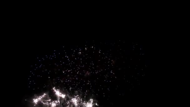 Bela exibição brilhante de fogos de artifício coloridos no fundo do laço noturno — Vídeo de Stock