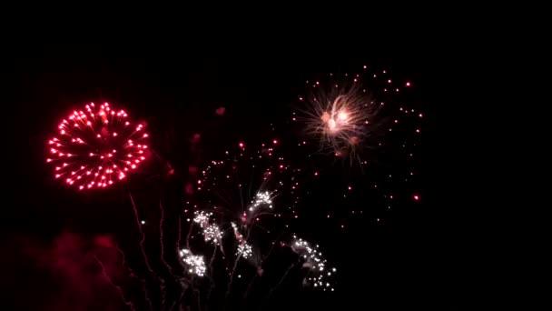夜幕背景下美丽的五彩缤纷的烟火新秀 — 图库视频影像