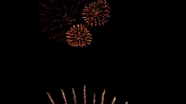 Beau feu d'artifice coloré Affichage brillant à fond de boucle de nuit — Video