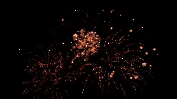 Vackra färgglada fyrverkerier skimrande display på natten Loop bakgrund — Stockvideo