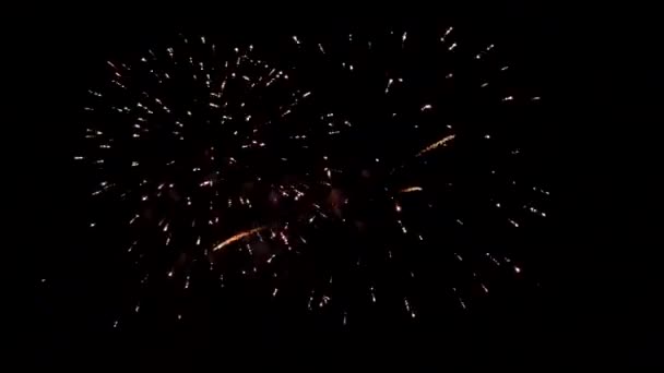 Mooi kleurrijk vuurwerk glanzend display bij Night Loop achtergrond — Stockvideo