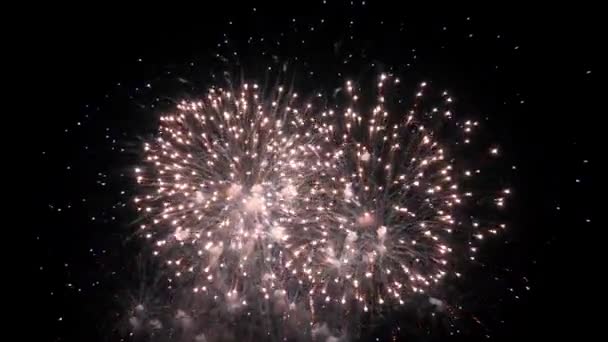 Hermosos fuegos artificiales de colores brillante pantalla en fondo de lazo de noche — Vídeo de stock