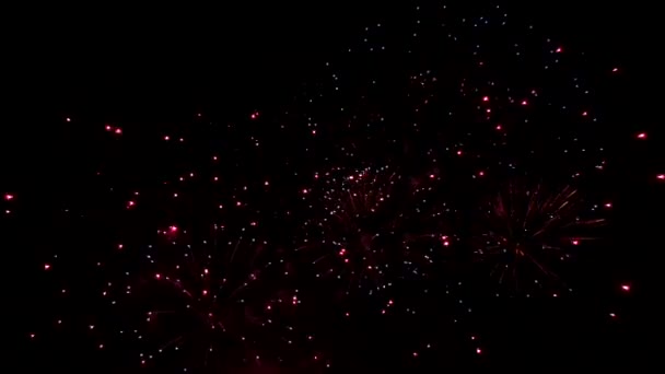 Hermosos fuegos artificiales de colores brillante pantalla en fondo de lazo de noche — Vídeo de stock