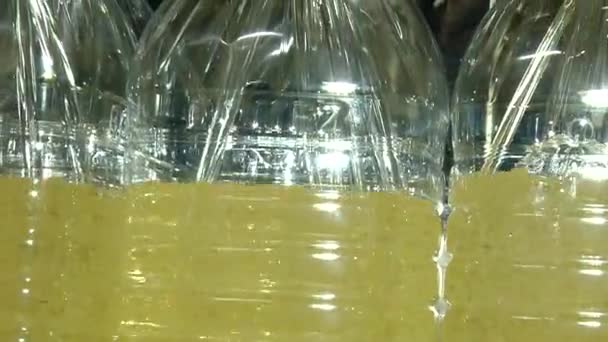 Sunflower oil in the bottle — Stock Video