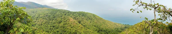 Panoramablick auf Gombe Wald — Stockfoto