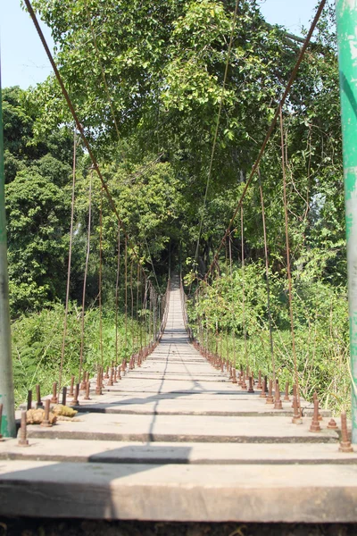 Ponte sospeso nella foresta — Foto Stock