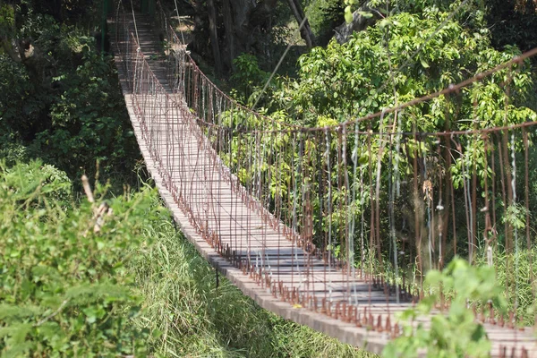 Ponte sospeso nella foresta — Foto Stock