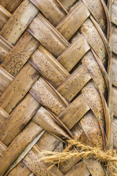 Pattern of interweaving brown palm leaves — Stock Photo, Image
