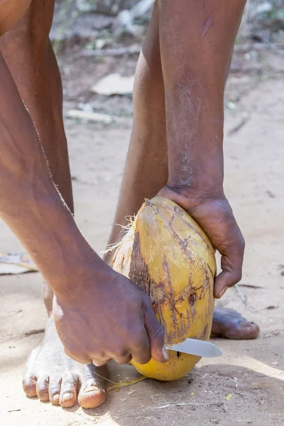 Hombre irreconocible que quita la capa externa y la fibra del coco — Foto de Stock