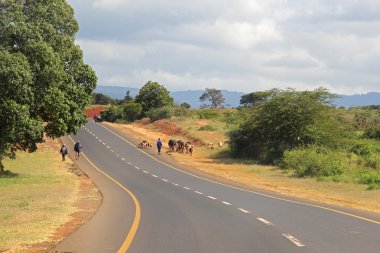 Manyara Gölü ile Ngorongoro arasındaki yol, Tanzanya