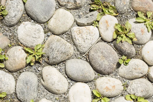 Arnavut kaldırımlı yere yakın çekim — Stok fotoğraf