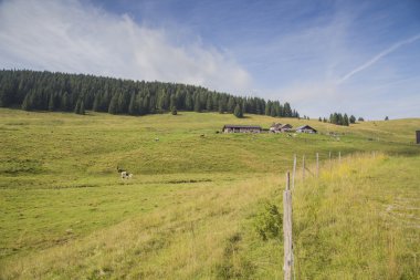 Alpine mera İtalya Asiago Plato üzerinde