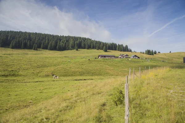 Alpine Pastures on the Asiago Plateau in Italy — Stock Photo, Image