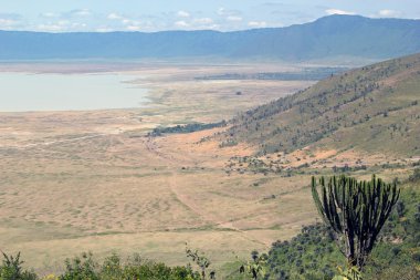 ngorongoro park'ın panoramik manzarasını