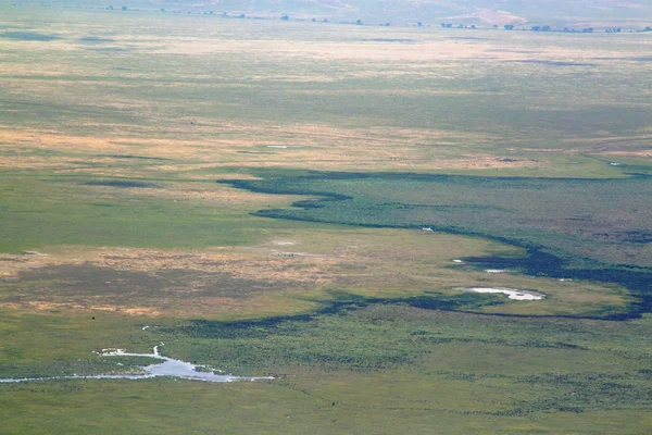 Ngorongoro crater from the rim — Stock Photo, Image