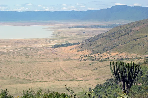 Πανοραμική θέα στο πάρκο ngorongoro — Φωτογραφία Αρχείου