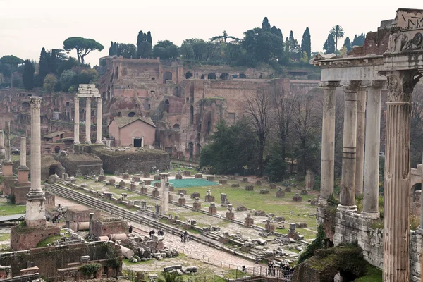 Ruinas del Foro Romano — Foto de Stock