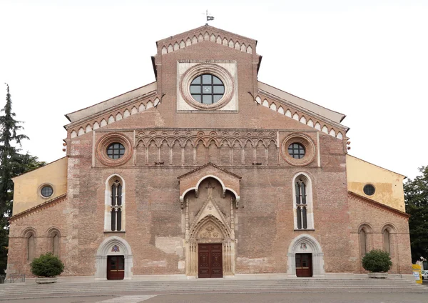 Udine 이탈리아의 가톨릭 성당 산타 마리아 마조레 — 스톡 사진