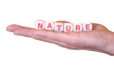 Beyaz arka plan üzerinde izole bir yandan, ahşap zarlarla yazılı doğa