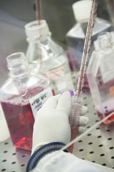 Scienziato al lavoro in un laboratorio — Foto Stock