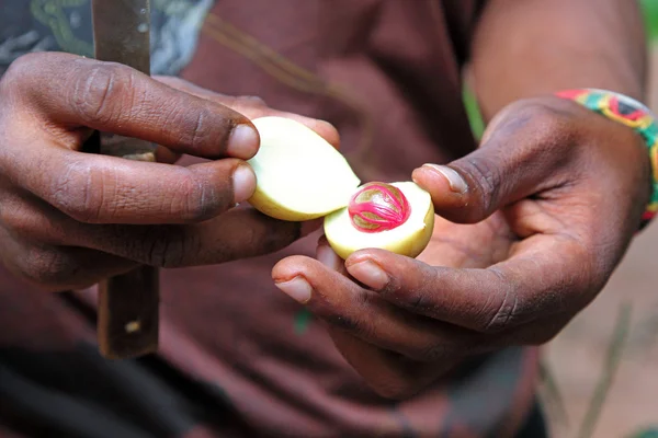 Man showing a fresh nutmeg — Stock Photo, Image