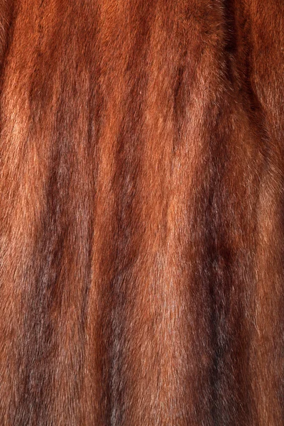 Brown mink fur texture or background — Stock Photo, Image