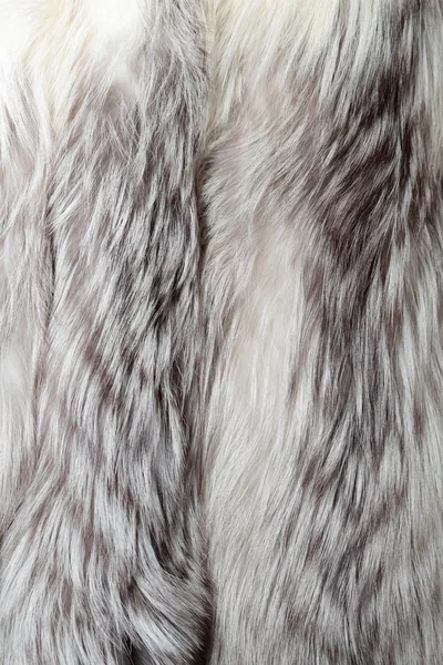 Fehér róka szőrme textúra vagy a háttér — Stock Fotó