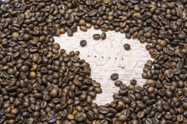 Map of Brazil under a background of coffee beans