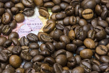 Map of Uganda under a background of coffee beans