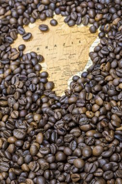 Map of Brazil under a background of coffee beans