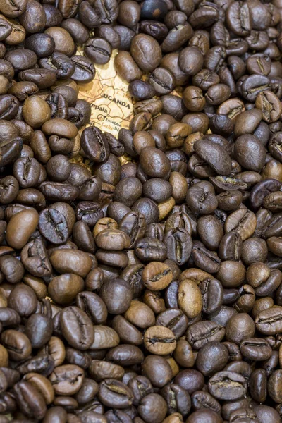 Map of Uganda under a background of coffee beans — Stockfoto