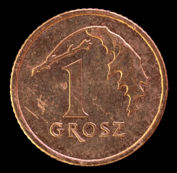 Хвіст grosz 1 монета, виданого Польщі в 2013 році — стокове фото