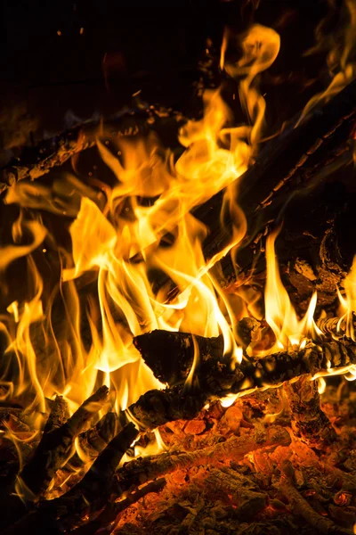 Imágenes: fuego con leña | Troncos y ramas ardiendo en un fuego de leña