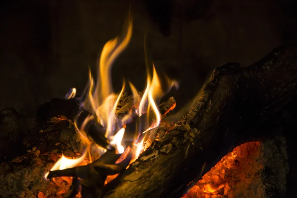 Imágenes: fuego con leña | Troncos y ramas ardiendo en un fuego de leña