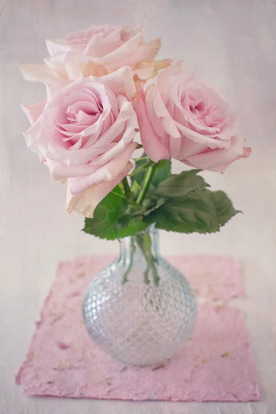 Rosa rosa blommor — Stockfoto