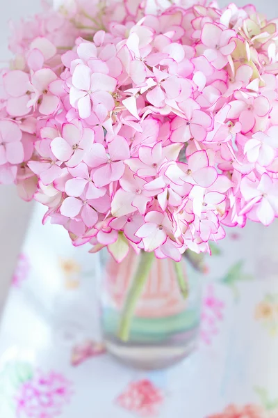 Ροζ άνθη ορτανσίας — Φωτογραφία Αρχείου