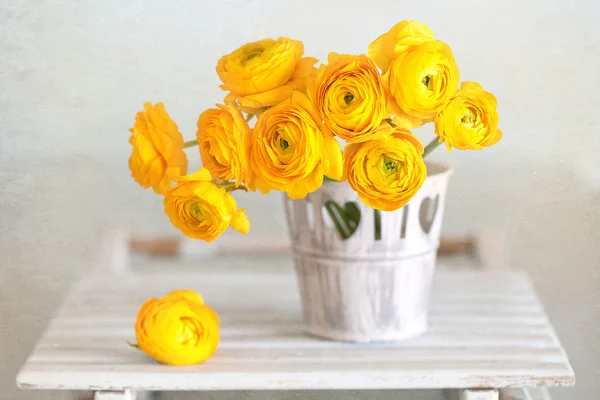 Gul ranunculus blommor — Stockfoto