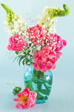 Pembe Peonies çiçekler