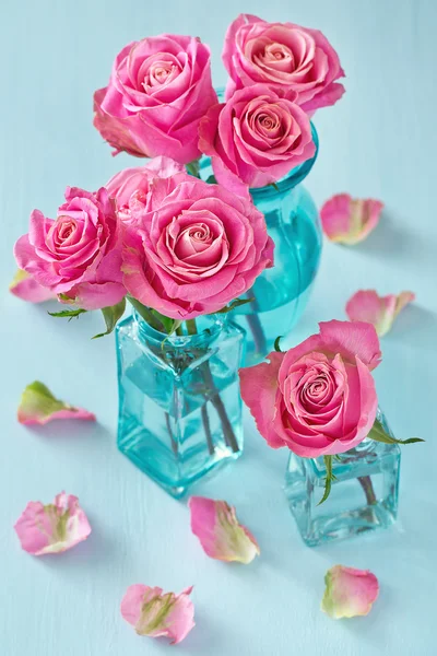 Piękne różowe róże . — Zdjęcie stockowe