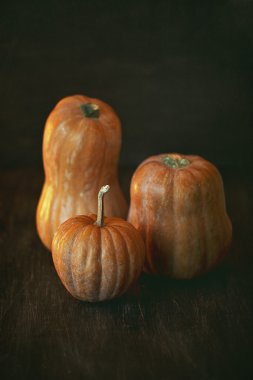 Sonbahar sakin bir hayat. 